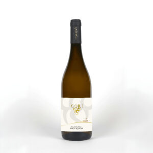 Sauvignon D.O.C. GORI AGRICOLA - Busse ben