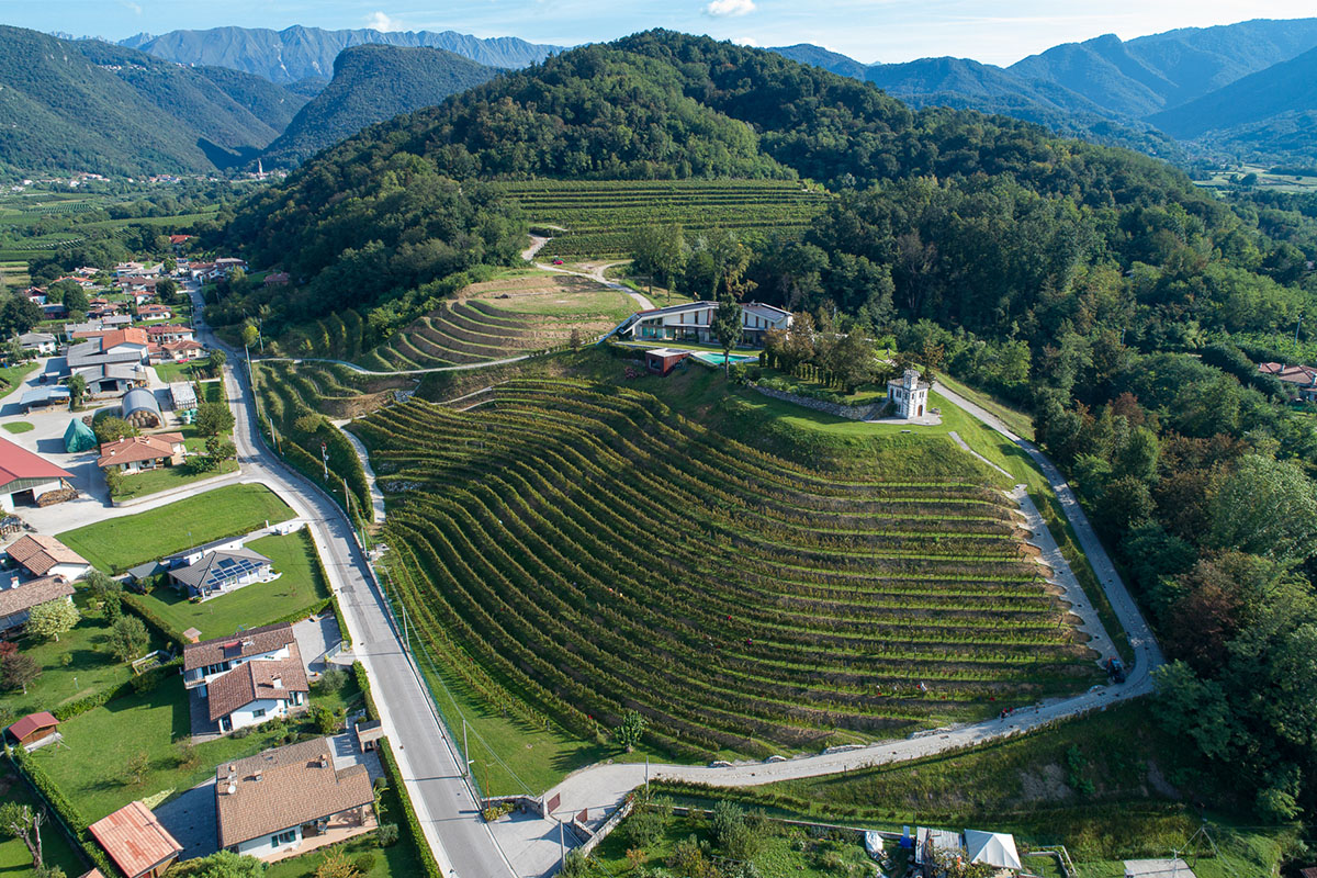 La vigna e la cantina a Nimis, nei Colli Orientali del Friuli